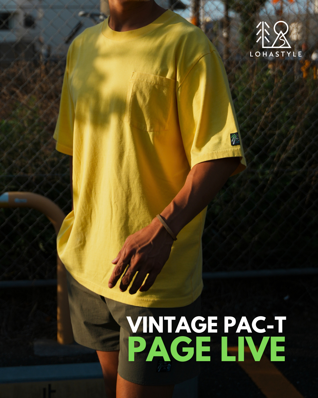 【VINTAGE PAC-T、アイテムページ完成🌴 】