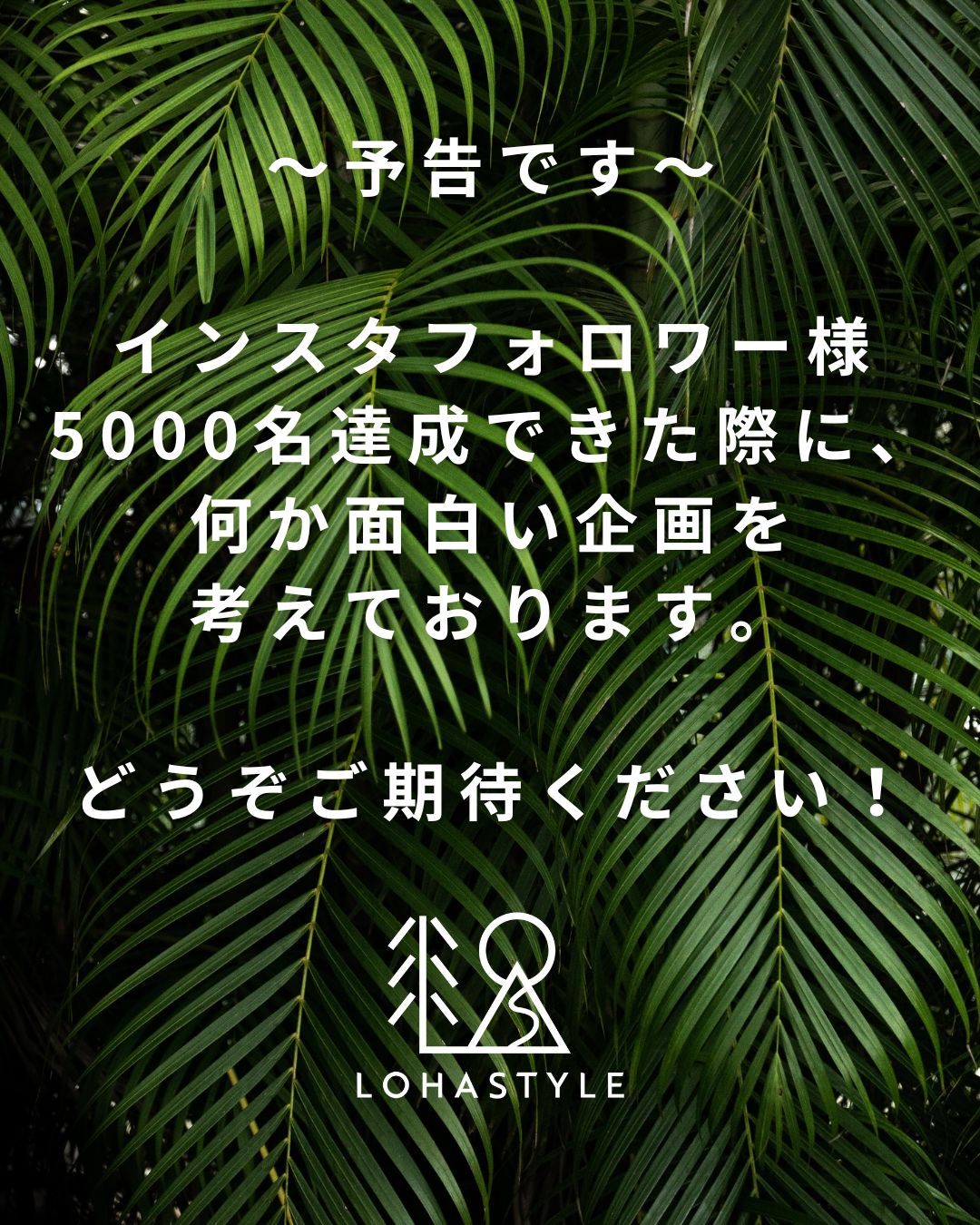 インスタフォロワー様3000名達成しました!