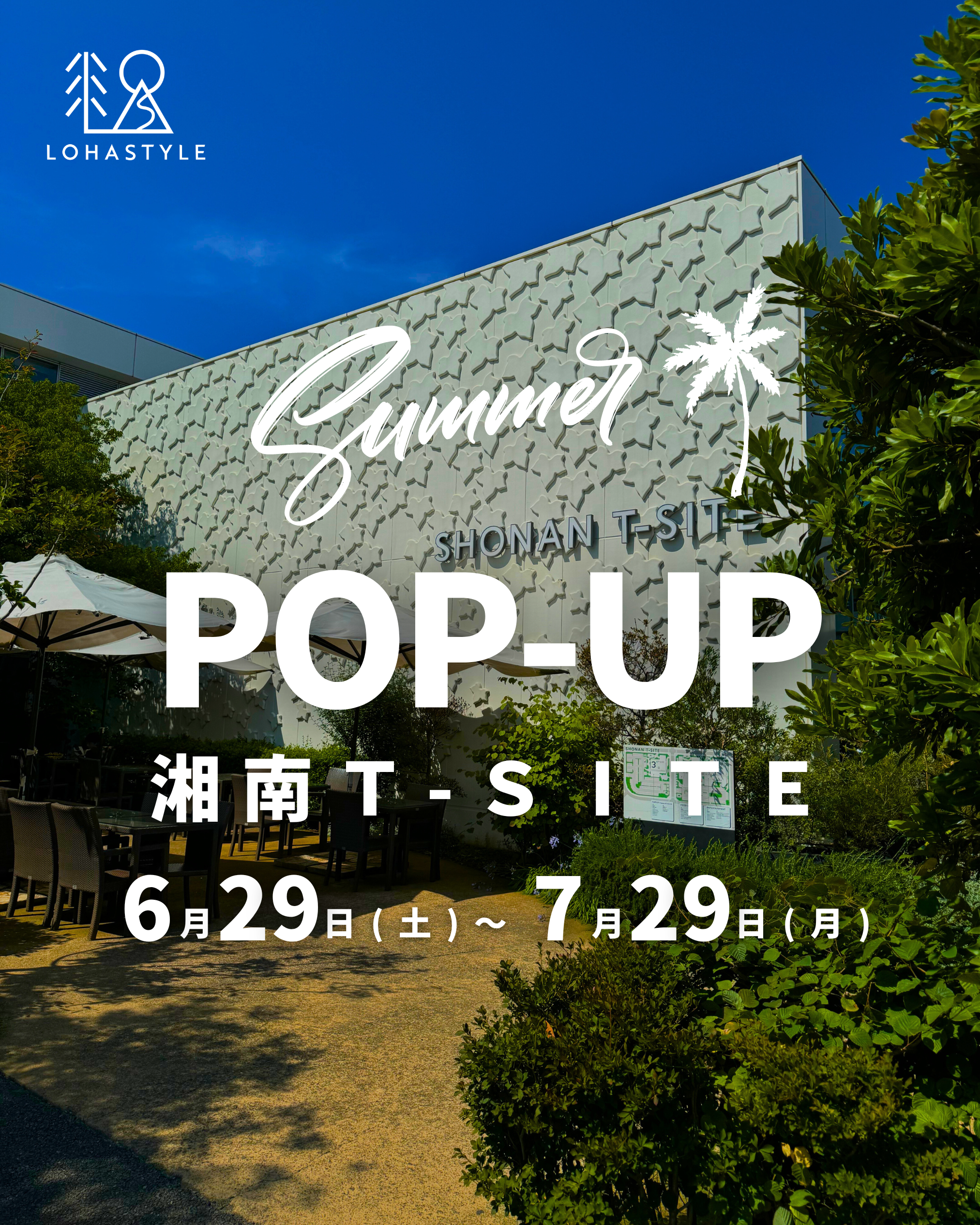 サマーポップアップ＠湘南T-SITE のご案内